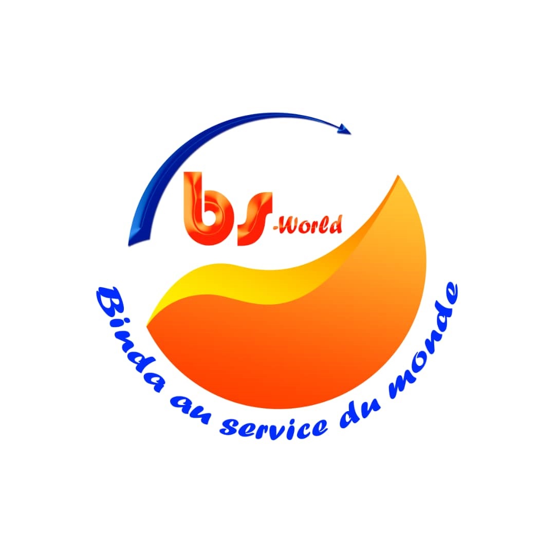 NL Strategy Consulting Logo